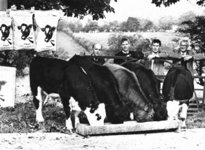 Eringold Milk Replacers 30 Years – Celebrating three decades of trusted calf nutrition in Ireland and the UK