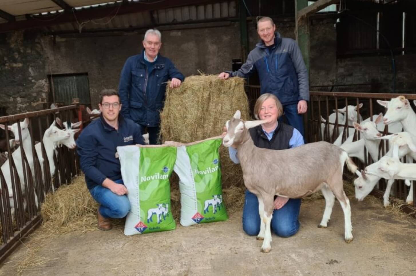 Novilam Milk Replacers