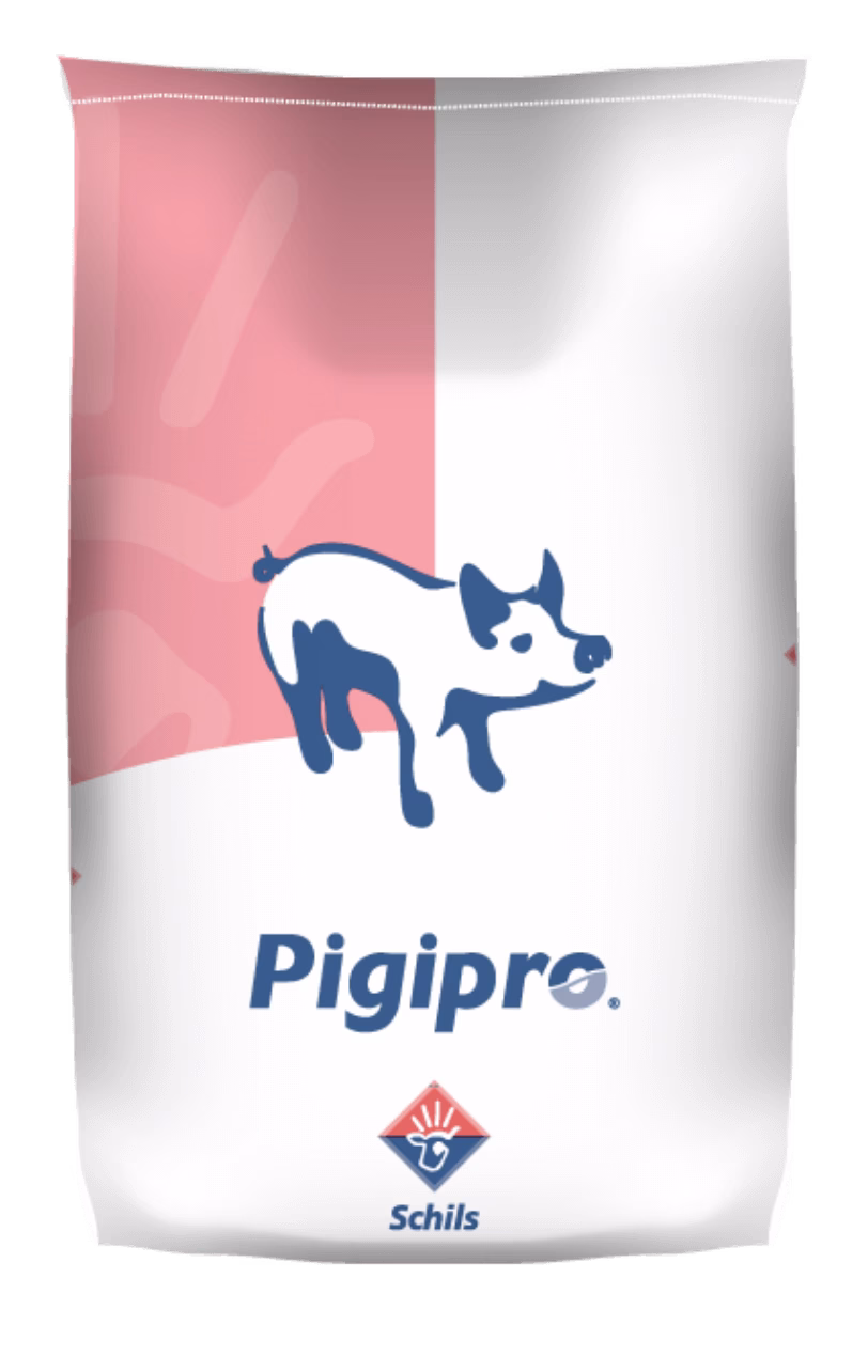 piglet milk replacer powder
