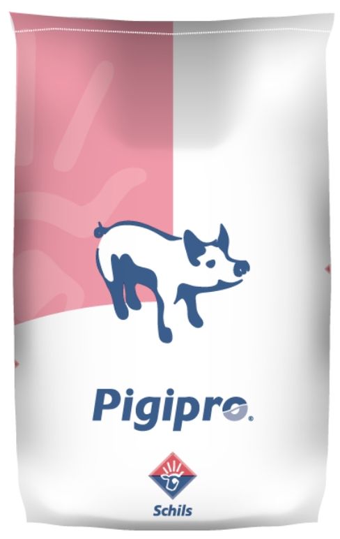 piglet Milk Replacer