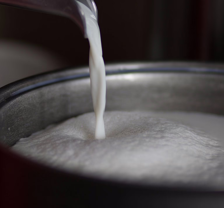 Farmer mixing calf milk replacer in a bucket